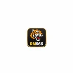 RM666 Game